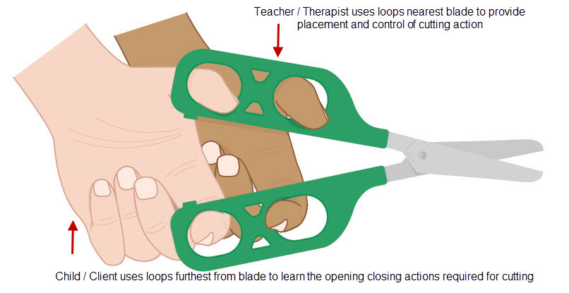 Dual Control Teaching Scissors