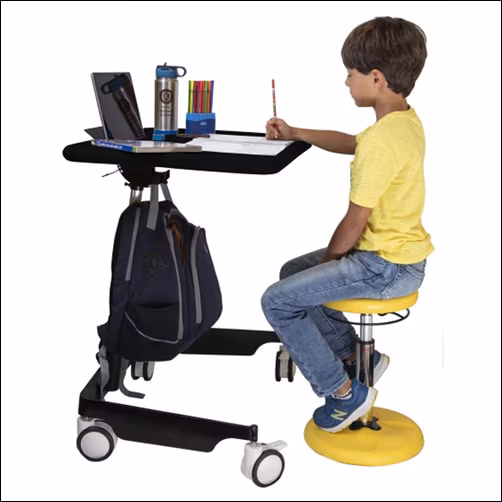 Kids Sit-Stand Mobile Desk